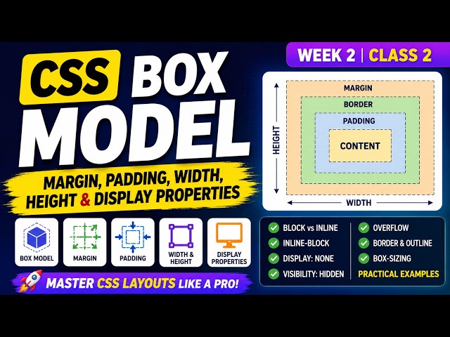 CSS Box Model, Display Property & Overflow | Complete Beginner Tutorial