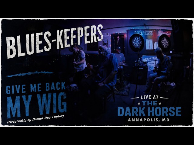Blues-Keepers — Give Me Back My Wig | Live VR180 Blues at The Dark Horse