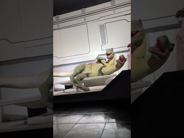 Observing a Two-Headed Dinosaur Experiment Replica