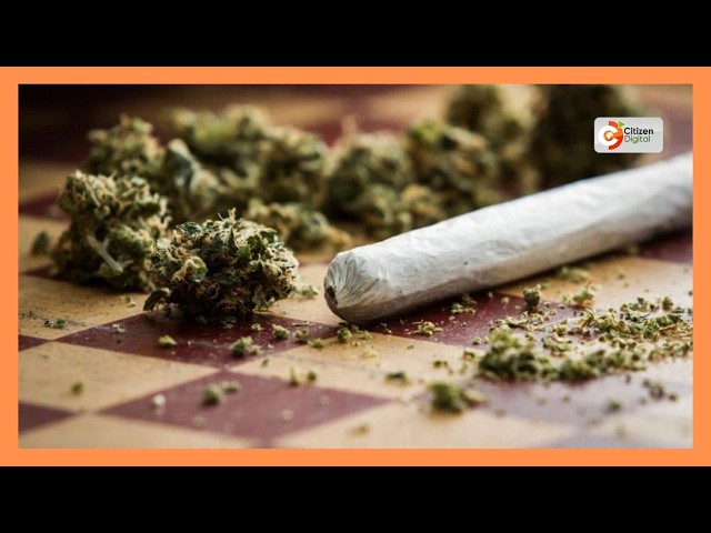 Two suspects suspected drug peddlers arrested in South C, Nairobi