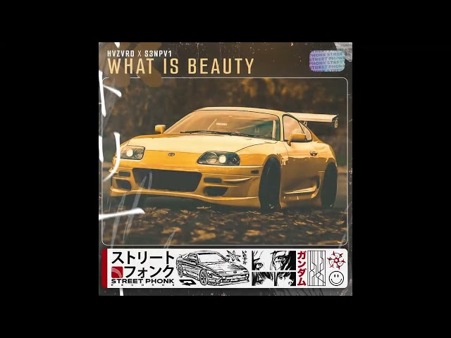 HVZVRD & S3NPV1 - What Is Beauty