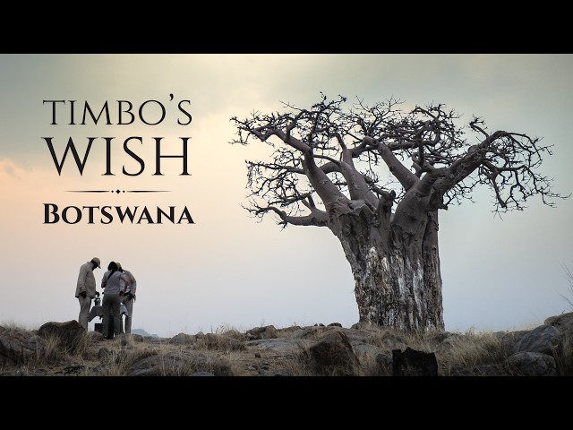 How One Boy’s Wish Is Changing This Wild Place