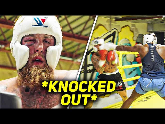 ジェイク・ポール、アンソニー・ジョシュア戦でヘビー級スパーリングパートナーにノックアウトされる