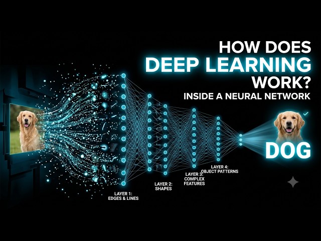 How Do Neural Networks REALLY Learn?  | Deep Learning Explained