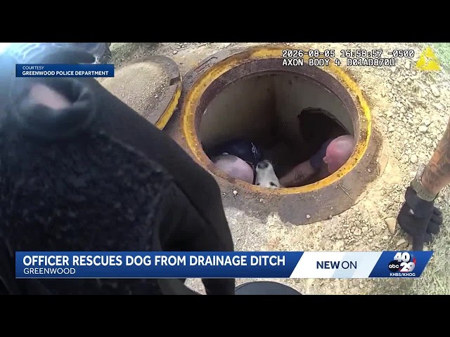 Greenwood officers rescue dog stuck in drain