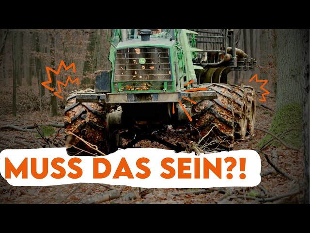 Forwarders, harvesters, tractors - heavy machinery in the forest - Forestry explained