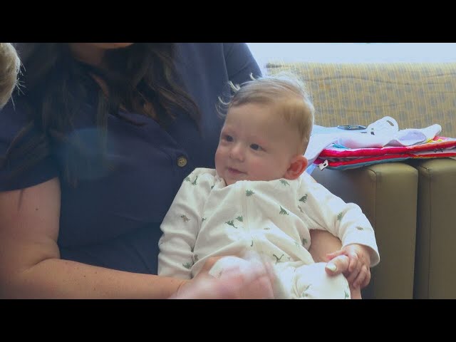 FirstPlay program for a baby's brain development
