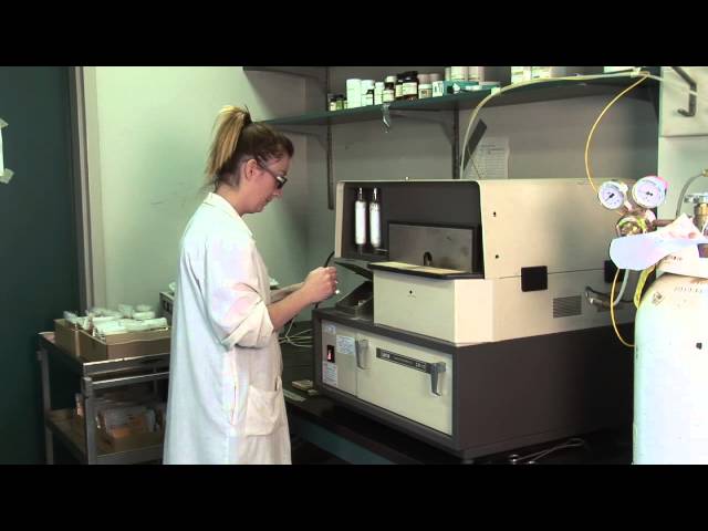 2. Which Tree Species Can Sequester the Most Carbon? video