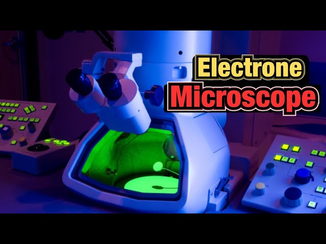 The Invisible World: Electron Microscope Explained !!!