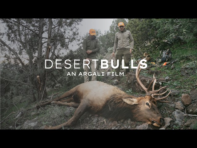 HUNTING RUGGED DESERT BULLS | AN ARGALI ELK HUNTING FILM
