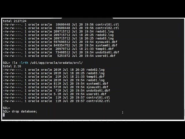 RESTORE   Level 0 and Level 1 Backup Realtime Scenario
