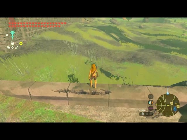Vault Animation Reference | Zelda TOTK