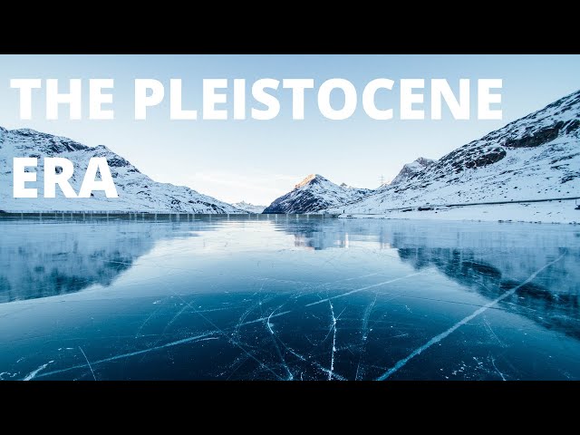 The Pleistocene Era