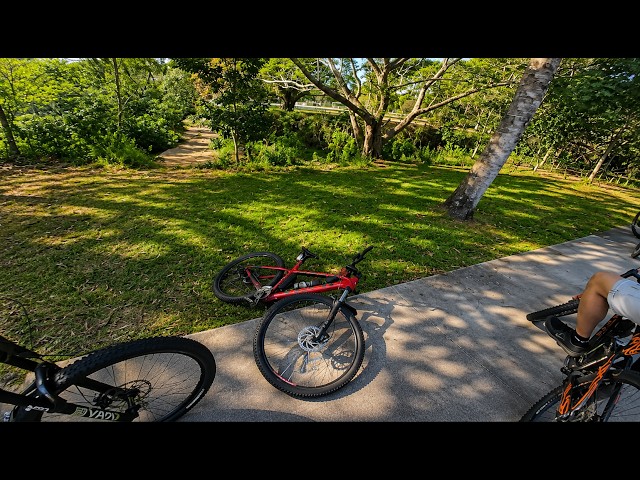 How I Broke My Hardtail