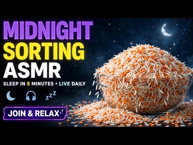 Rice & Lentils Tornado Sorting ASMR LIVE for Better Sleep | Join & Relax