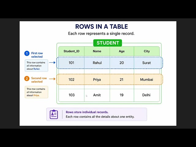 How are Databases Organized