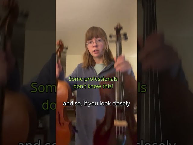 The REAL Difference Between Violin and Viola