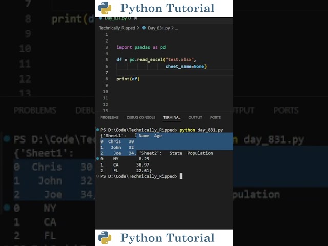 Read Multiple Excel Sheets With Pandas | Python Tutorial