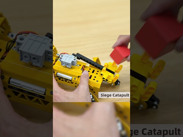 Dog or Catapult? Why not both! 🐕🔥