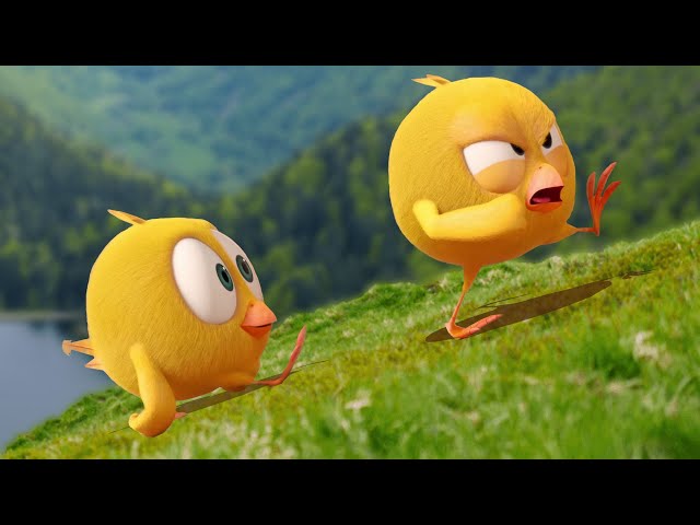 ¿Adivina dónde está Chicky? | ¿Dónde está Chicky? | Dibujos Animados para Niños | Nuevos episodios