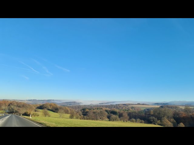 AA Daily Reflections | 18 November | Alcoholics Anonymous | Alcoholism | Recovery videos