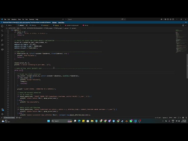ITT440 Group Project, C and Python network programming Docker Demo