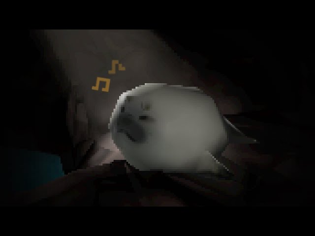 you have found the mythical seal cave