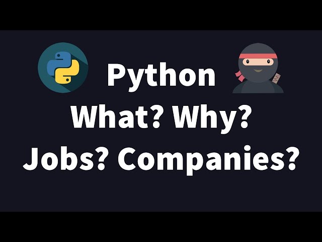 Python 3 - Basic Intro, Jobs and Opportunities