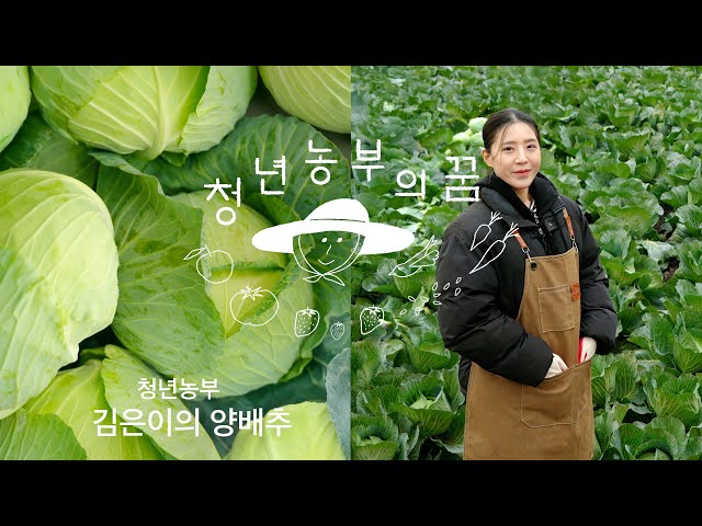 [청년농부의 꿈] Ep.02 김은이의 양배추
