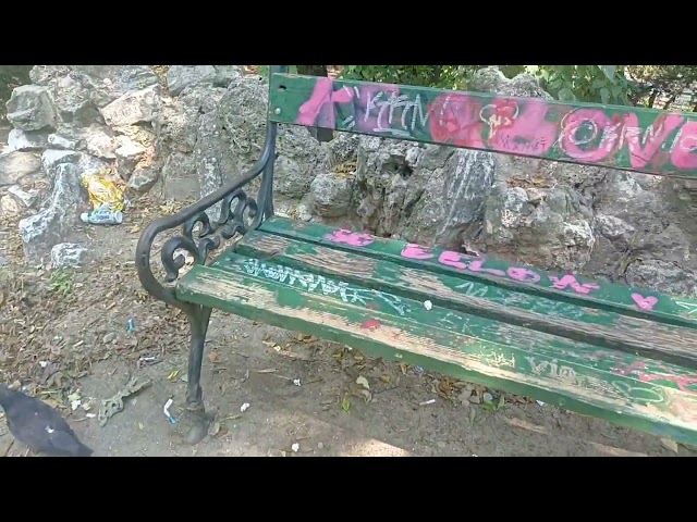Cum arata Parcul Cișmigiu in vara lui 2024