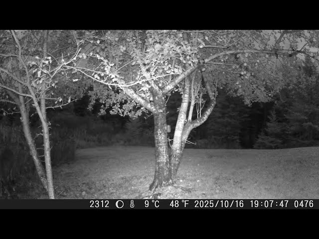 2025 — DSCF1476