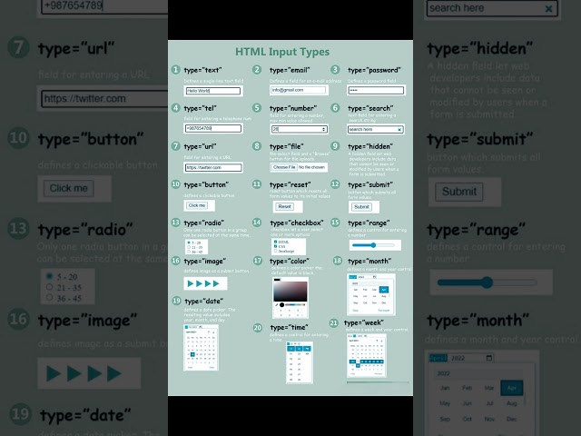 Input types in html | html tutorial I html tags list I Input tags in htmlI WebDevelopement Tutorial