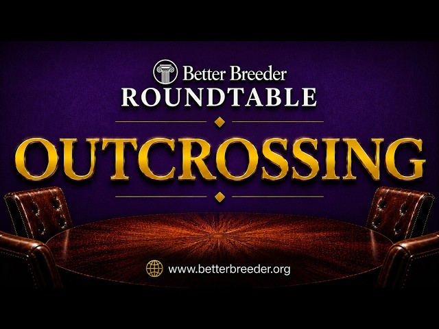 Outcrossing: Not Just One & Done