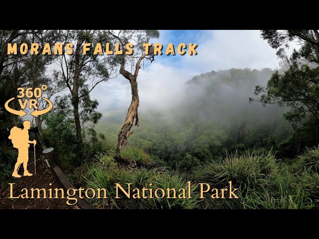 Morans Falls Track, Lamington National Park - O'Reilly's (Green Mountains) - 360° Walkthrough