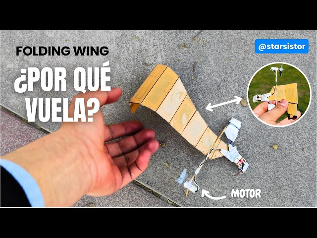 Decían que no podía volar… así que lo construí