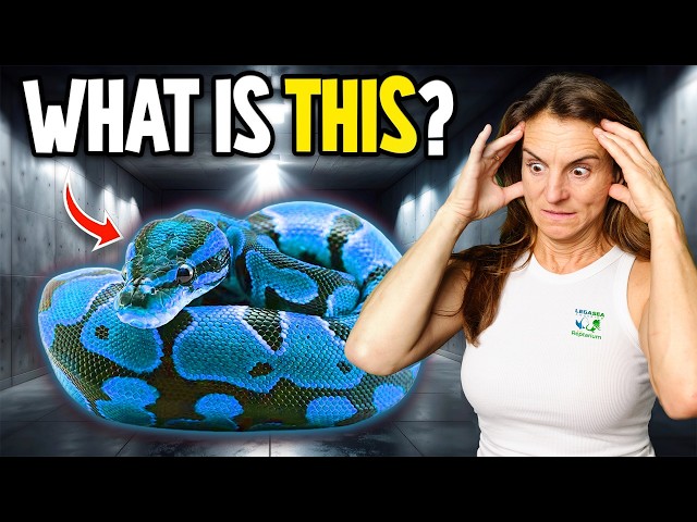 I Can't Believe We Hatched This Snake.. WHAT is IT?!?