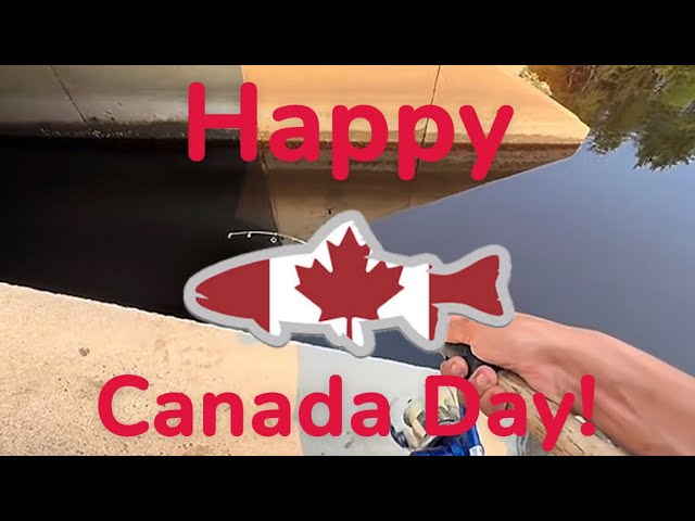 Canada Day fishing for White perch & Bass! 