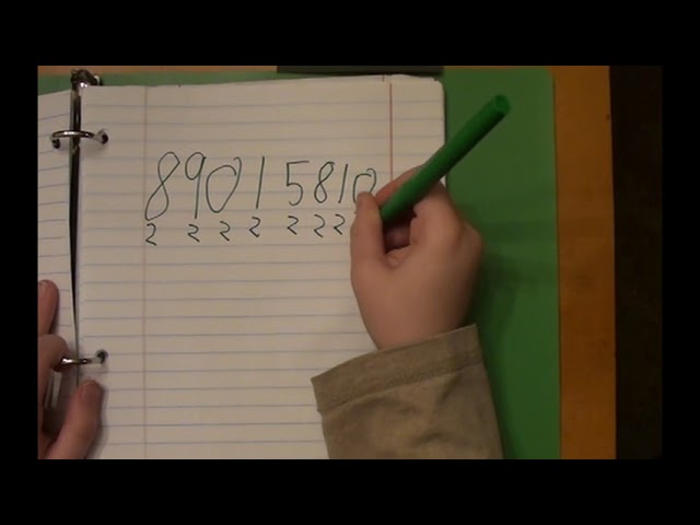 Discussing How to be in Bat Scouts 2