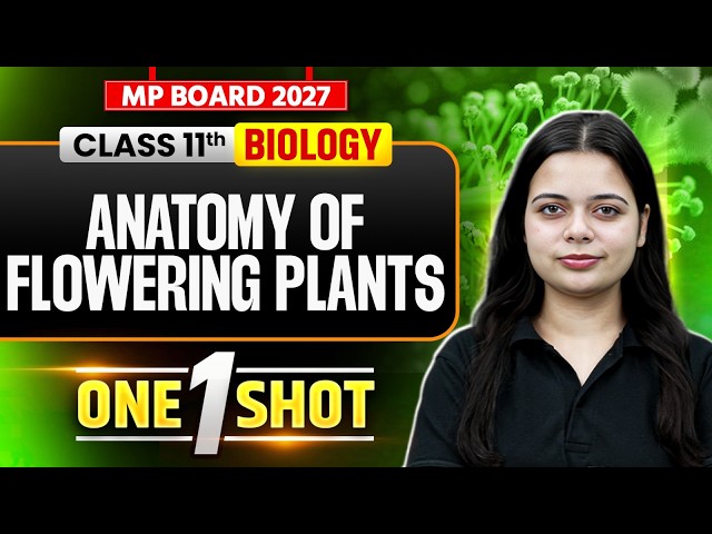 MP Board Class 11 Biology Chapter 6 | Anatomy of Flowering Plants | Class 11th Biology One Shot 2027