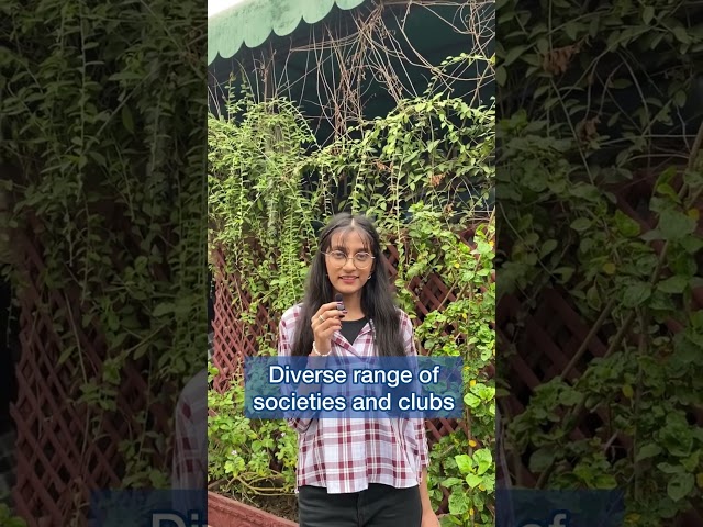 Why Choose UMT? Hear It From Our Students