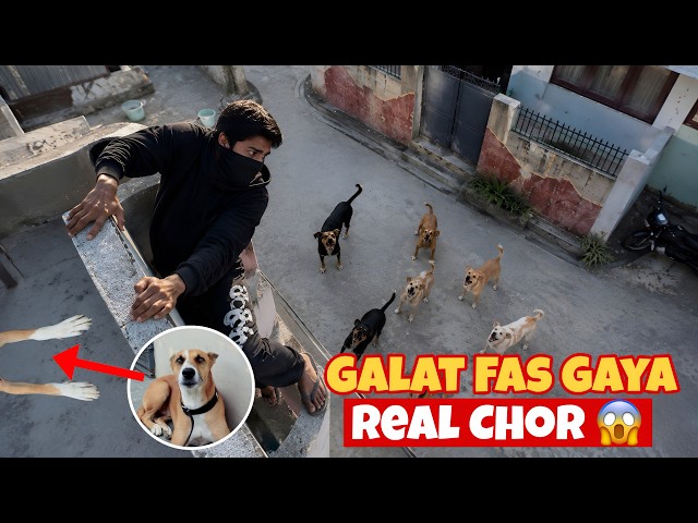 Thief Got Stuck In My House 😱 | Street Dog Pluto