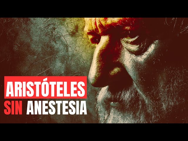 ARISTÓTELES explicado FÁCIL (y sin ANESTESIA)