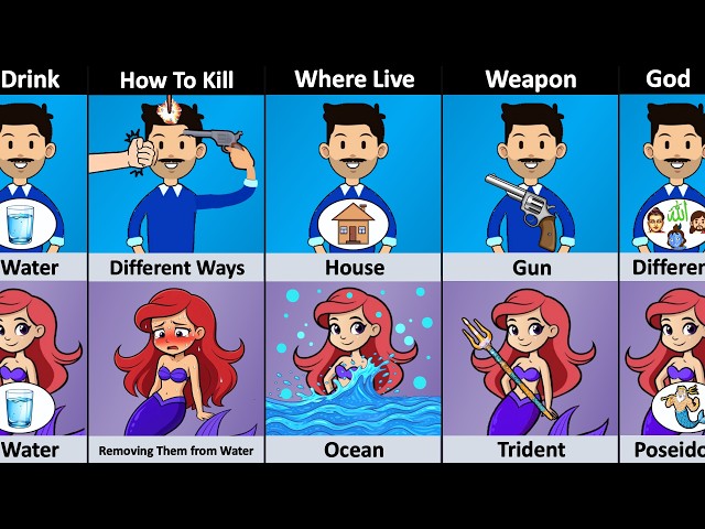 Human vs Mermaid - Comparison