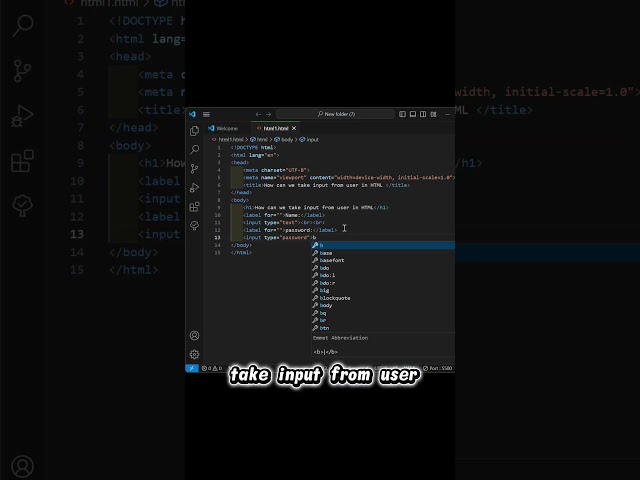 HTML Input Tags Explained | Complete Beginner Tutorial