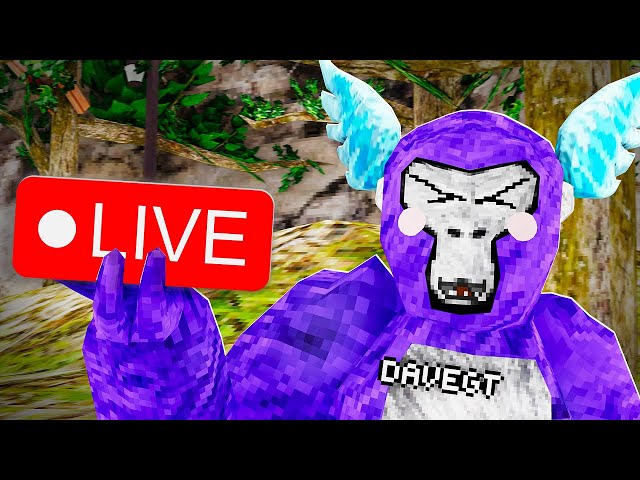 Join this stream if ur sigma