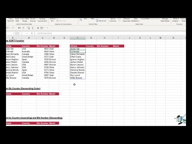 The SORT Function in excel