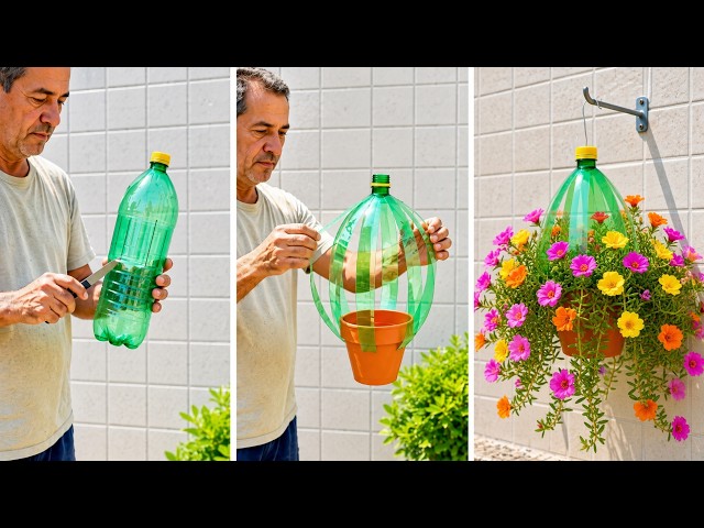 DIY Stunning Garden Makeover Using Recycled Plastic Bottles