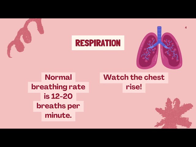 ✅ 5 Easy Ways to Remember Vital Signs | Nursing Study Tips