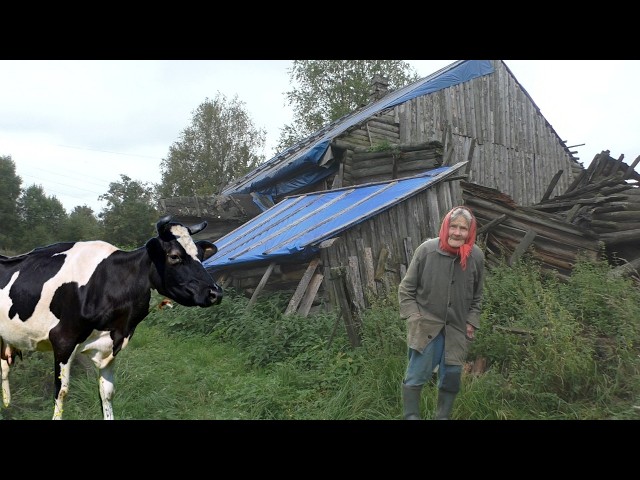 Бабушка живет одна в заброшенной деревне. Последняя жительница покинутой деревни. Бабушка отшельница