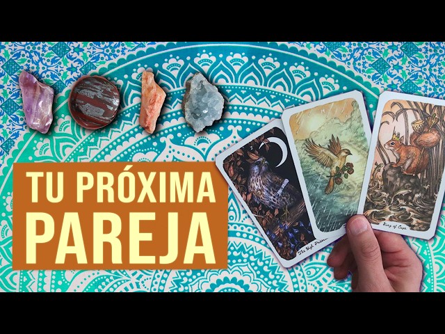 YOUR NEXT PARTNER || Interactive Tarot 🔮✨